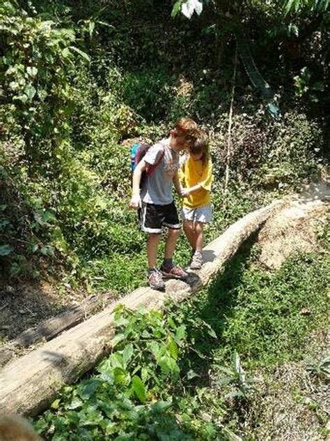 Hiking at Doi Suthep - Pui National Park : The Route to Wat Pa Lad