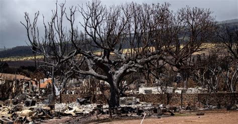 Imágenes del desastre continúan los incendios en Hawaii y reportan 106