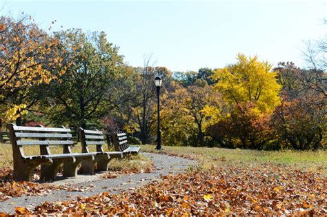 Silver Lake Park : NYC Parks