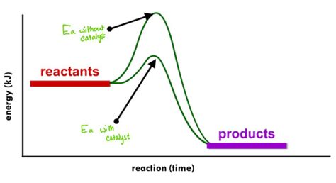 Reaction Rates And Equilibrium Flashcards Quizlet