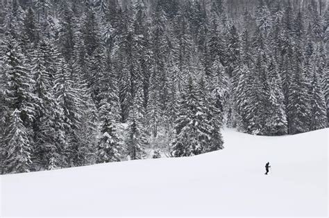 Vosges La Bresse Hohneck Vosges Forest During Winter Hiker On