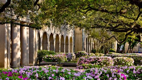 Louisiana State University Secu