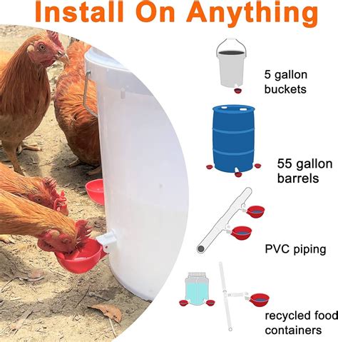 How To Make A Chicken Waterer Using Gallon Bucket Easy Diy