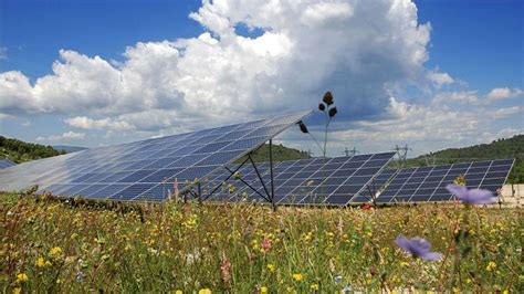 Akuo Se Adjudica El Primer Proyecto Agrovoltaico De Portugal