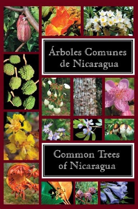 Common Trees of Nicaragua / Árboles Comunes de Nicaragua | NHBS Field ...