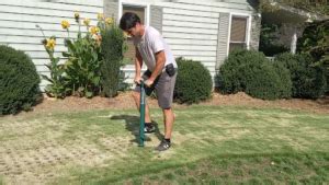 How To Plant Zoysia Grass Plugs With Video Proplugger