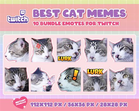 10 Cute Cat Memes Emote Pack 3 Kitty Emotes Cat Emote Emote