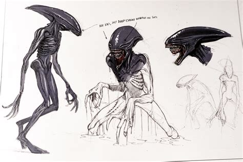 The Deacon - Alien vs. Predator Galaxy