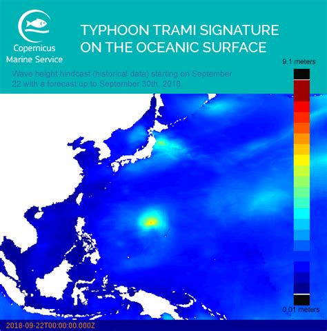 Copernicus - Marine environment monitoring service