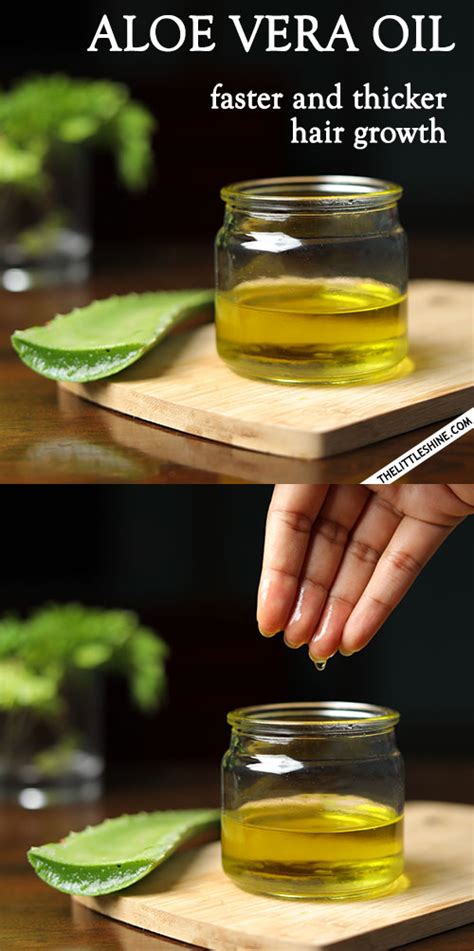 How To Make Aloe Vera Oil The Little Shine