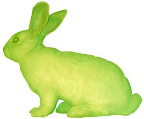 How Scientists Created The Glow In The Dark Rabbit By Matthew Prince