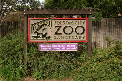 Federal Inspection Says Folsom Zoo Fence Non Compliant City Council To