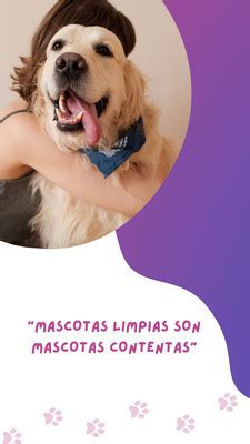 P Gina Explor Plantilla De Mascotas Personalizables Gratis Canva