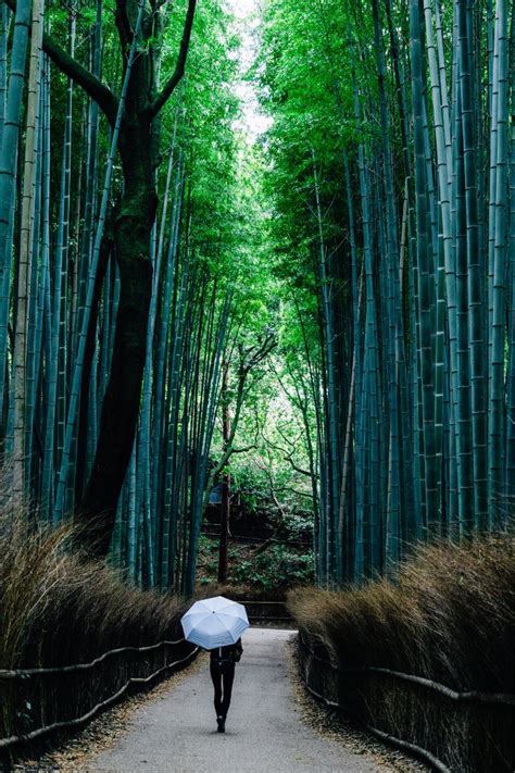 13 BEST Day Trips From Kyoto Japan 2024 Guide