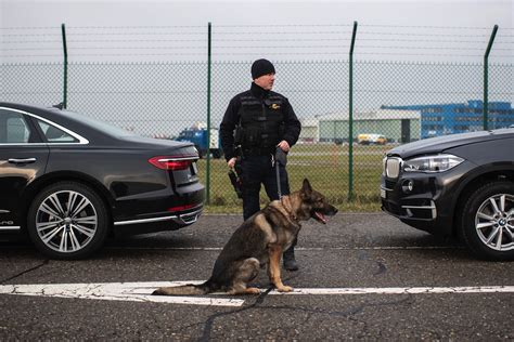 Hund erschnüffelt 20 Kilogramm Kokain Plattform J