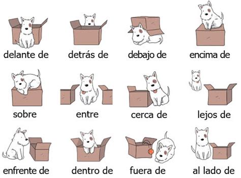 Preposiciones De Lugar Prepositions Of Place Diagram Off