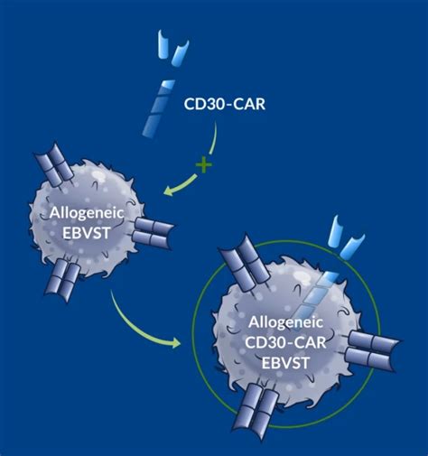 CAR T细胞疗法 靶向CD30 TNFRSF8 的CD30 CAR T获批临床 全球肿瘤医生网