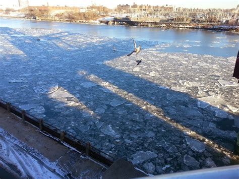 Roosevelt Islander Online Tugboat Pushes Barge Through Icy East River