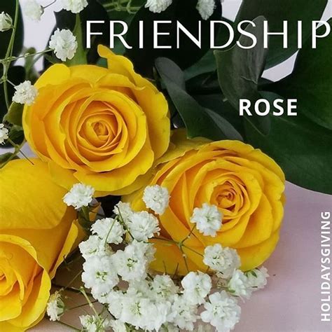 Yellow Flowers For Friendship Is The Most Common Other Colors Different Colors Friendship Rose