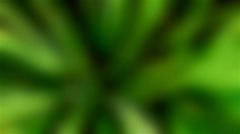 Premium Photo | Blurred foliage abstract background dark green color ...