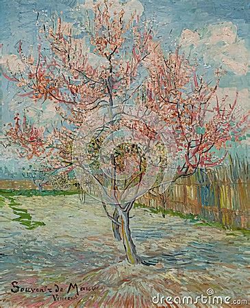 Pink Peach Trees Souvenir De Mauve Painting By Vincent Van Gogh