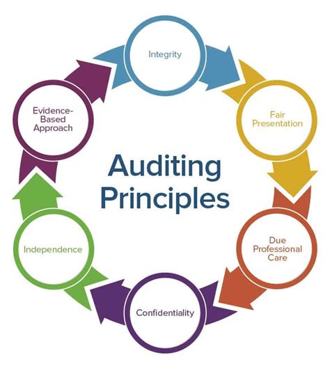 Basic Principles Governing An Audit