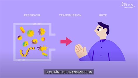 Comprendre Et Pr Venir Les Risques Biologiques Actualit Inrs