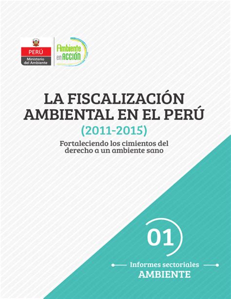 Fiscalizaci N Ambiental Ministerio Del Ambiente