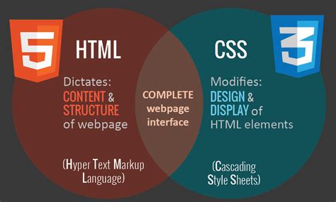 A Simple Website Using HTML And CSS