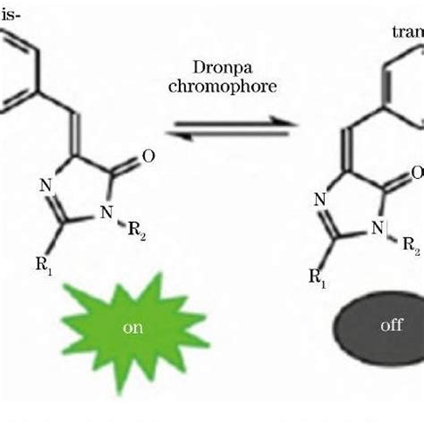 Chromophore structure of reversibly photoswitchable fluorescent protein ...