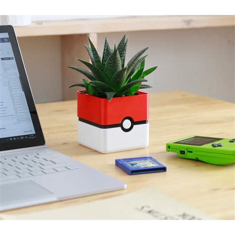 Vaso Pokemon Para Cactos E Suculentas Cachepot Decorativo Plantas