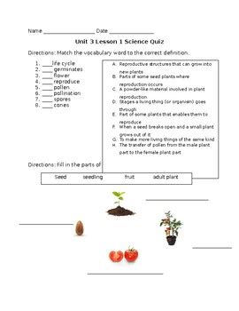 Science Fusion Grade Worksheets Scienceworksheets Net