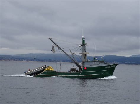 Officials No Sardine Fishing Off California This Year Due To Steep