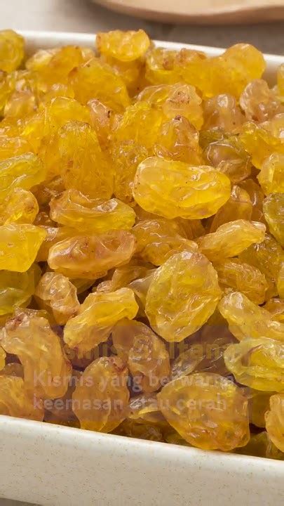 macam macam kismis youtube