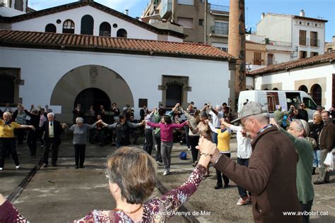 Avibotet Cat XXIX APLEC D ARENYS DE MAR