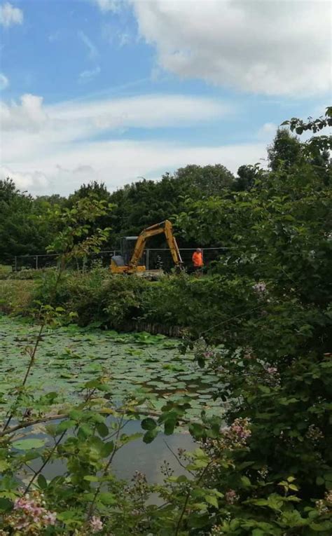 Strage Di Pulcini Al Parco Teodorico