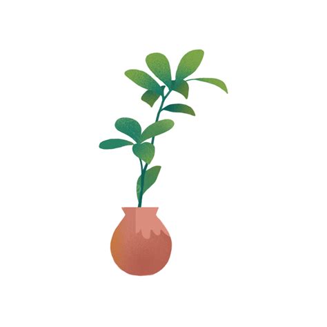 Plantas En Macetas Png Plantas Verdes Planta Material En Maceta Png