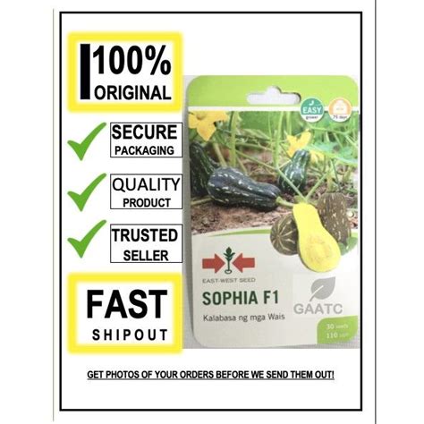 HYBRID SQUASH KALABASA SEEDS SOPHIA F1 BY EASTWEST Lazada PH