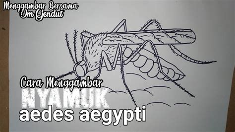 Melukis Lukisan Poster Nyamuk Aedes / Bahasa Melayu Membalik Buku ...