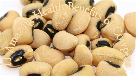 11 Amazing Health Benefits Of Cowpeas Youtube