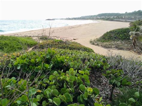 Jobos Beach stock image. Image of playa, tropical, sand - 2693433