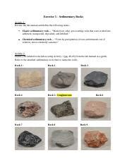 Exercise 5 Sedimentary Rocks Docx Exercise 5 Sedimentary Rocks