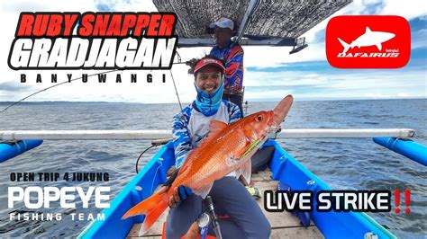 Jigging Ruby Snapper‼️ Live Strike‼️ Medium Jigging 150g Up To 350g