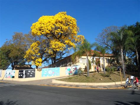 Avenida Antonio Furlan - EMEB Antonio Furlan | Charqueada SP