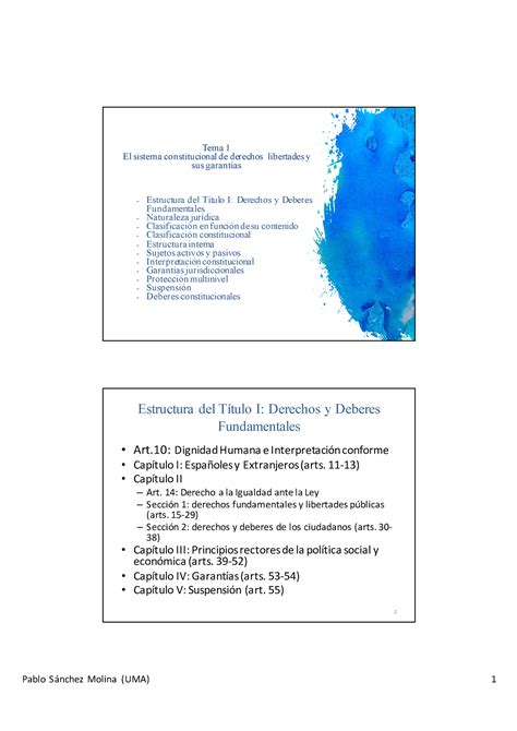 Tema El Sistema Constitucional De Derechos Libertades Y Sus