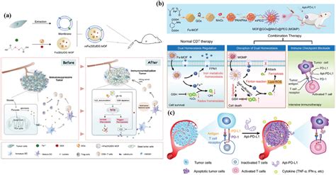 A Schematic Illustration Of The Smart Biomimetic Nanoplatform For