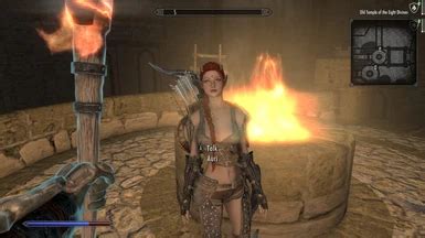 Song Of The Green Auri Follower Dnpcs Banter Patch Eslified At Skyrim