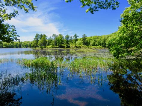 Five Beaver Island Self-Guided Tours for bikes and cars