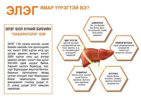 МОНГОЛЧУУД ЯАГААД ЭЛГЭЭ ХАМГААЛАХ ШААРДЛАГАТАЙ ВЭ ЭНТО ХХК