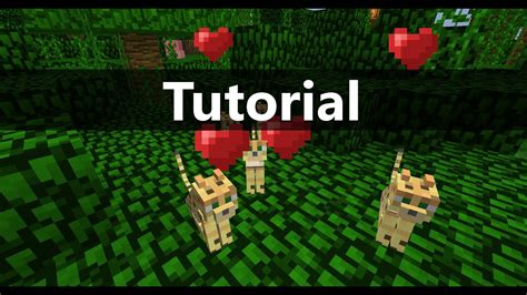 Minecraft Tutorial Zahme Ozelots Spawnen Youtube